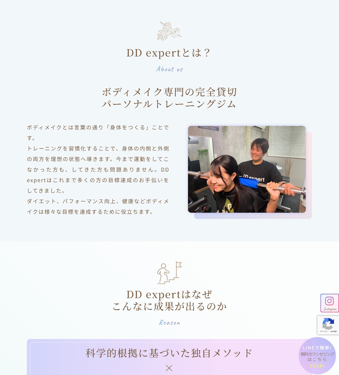 DDexpertとは