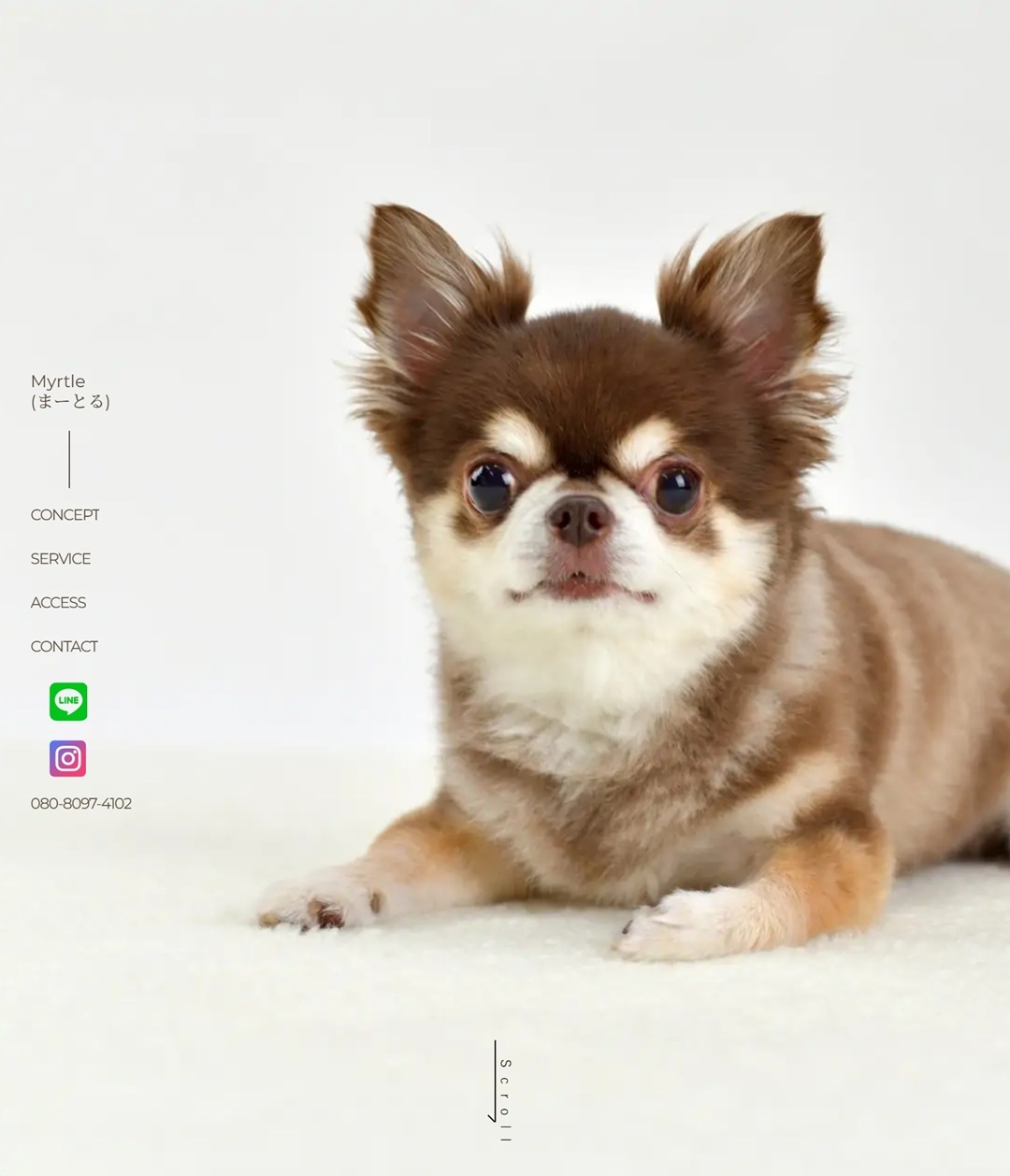 ｢Myrtle(まーとる)｣様のWebサイトを制作
